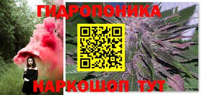 PSILOCYBIN Моздок