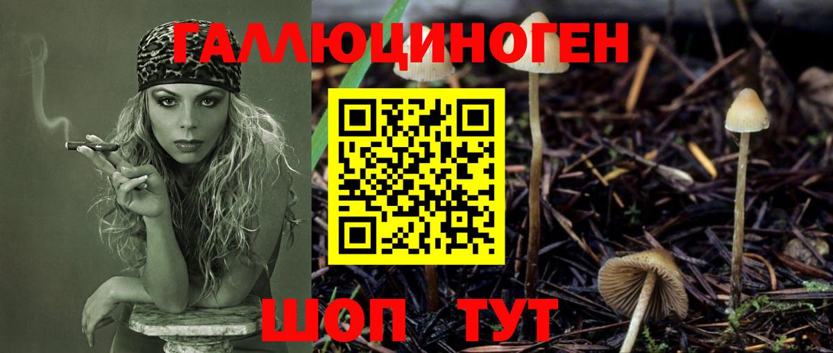 Тобольск  купить наркотики сайты  Вход с VPN  Псилоцибиновые грибы Psilocybine cubensis 