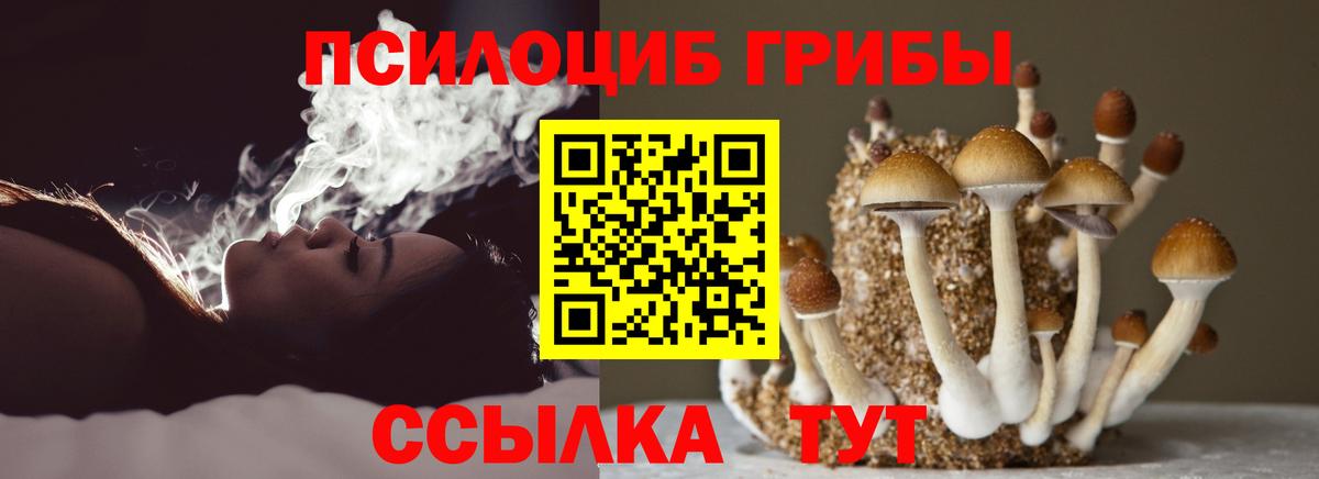 Галлюциногенные грибы GOLDEN TEACHER Тобольск